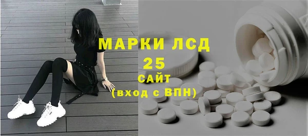 PSILOCYBIN Баксан